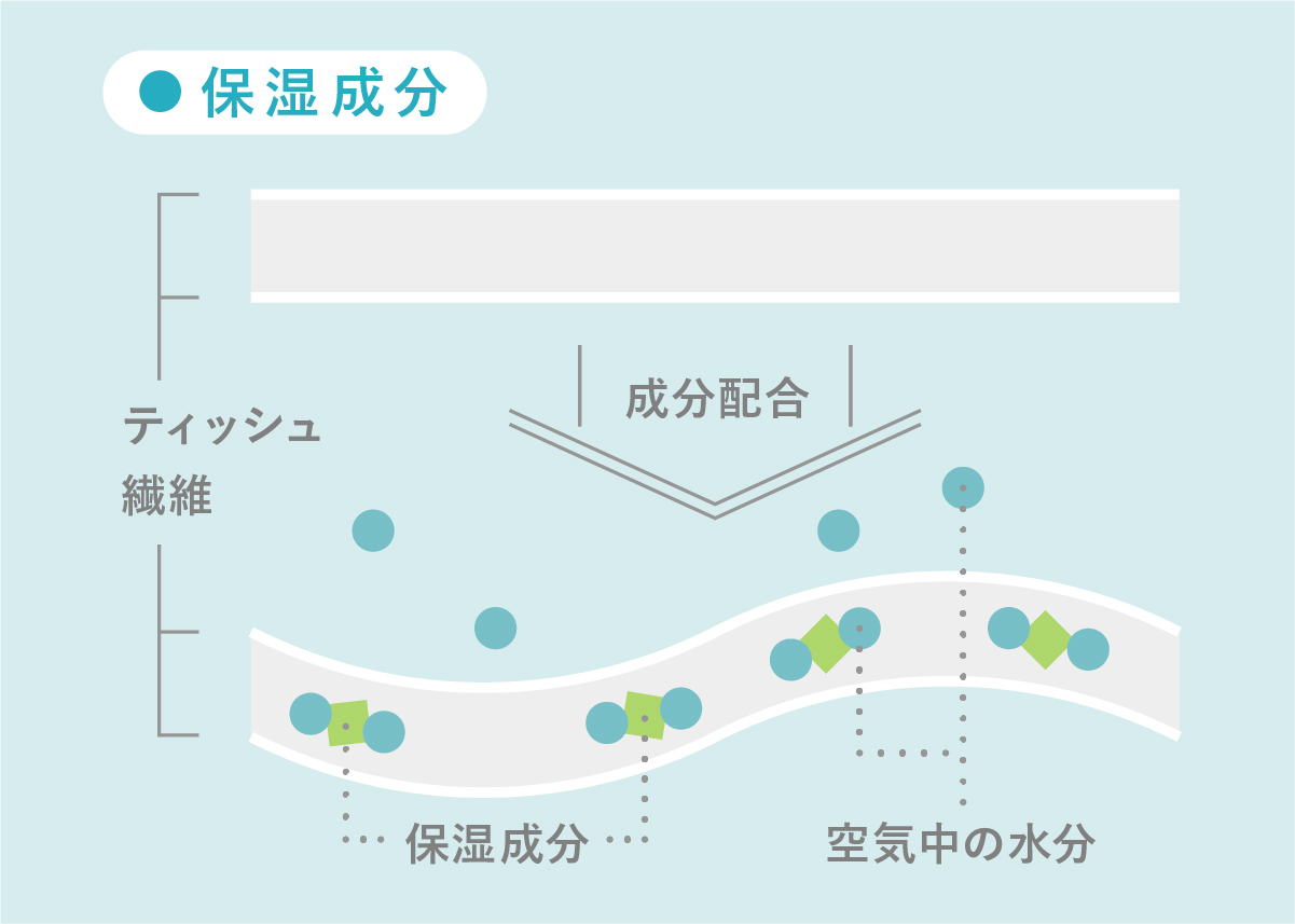 保湿成分の解説